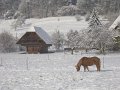 Winter1011 (59)